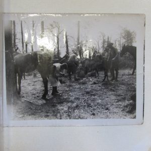Selection of large black and white photos (original) of WW1 front line