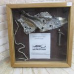 WW11 Cased Dornier Crash Relics 1943