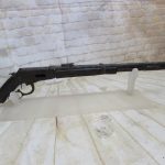 Model 1895 Winchester, Relic from Verdun