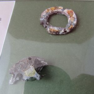 WW2 Framed remains of German Butterfly Bomb - Image 3