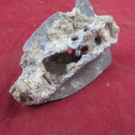 WW2 Relic Two inch Mortar Fin, Normandy